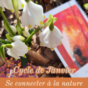 01er cycle - Atelier de janvier