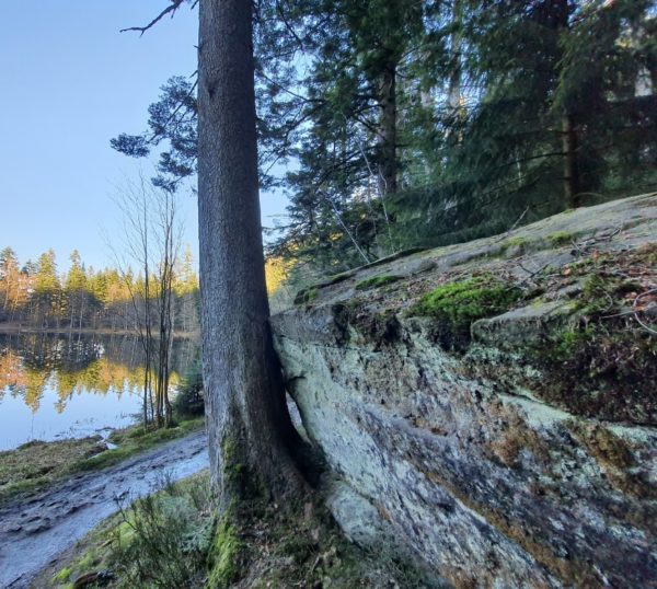 Sortie Lac de la Maix – Image 3