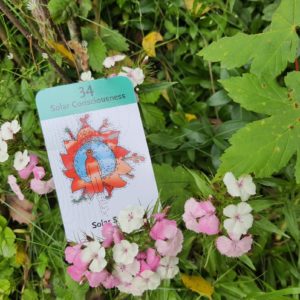 Saison 4 Tirage d'Automne / Rubedo