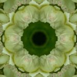 SmartSelect_20211108-111349_Gallery