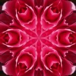 SmartSelect_20211108-111451_Gallery