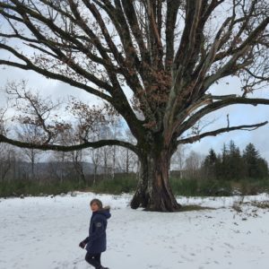 Sortie le Gros Chêne
