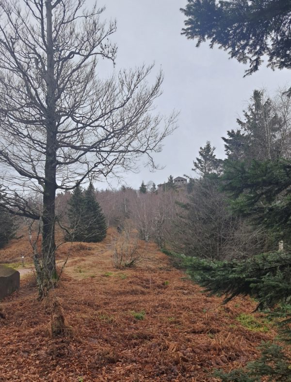 Sortie Site du Donon – Image 3