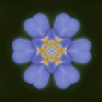 SmartSelect_20241002_172546_Gallery
