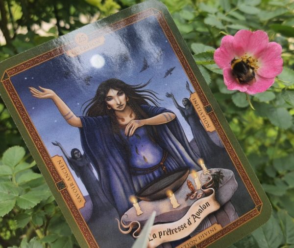 Atelier 4 : la blessure d'amour – Image 4