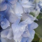 SmartSelect_20250712_151613_Instagram