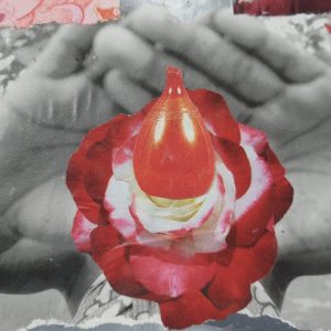 Les Mystères des Myrrophores